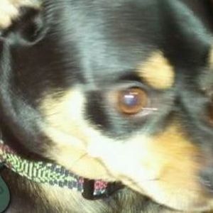 Meet your Posher, Beverly